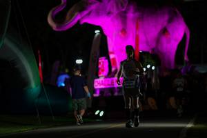 BIB: 
                            <button type="button" onclick="openModal(26530646)" class="btn btn-primary btn-sm float-right btn-popup" data-toggle="modal" data-target=".modal-high-quality">
                        <i class="fas fa-shopping-cart"></i> Add to Cart
                    </button>
                                            <button type="button" onclick="isThisMe(26530646, true)" class="btn btn-success btn-sm float-right btn-popup btn-isme hidden" data-toggle="tooltip" data-placement="bottom" title="นี่คือรูปของคุณใช่ไหม คลิกที่นี่เพื่อเอาเข้าอัลบั้ม">
                        <i class="fas fa-plus"></i> Add to album
                    </button>
                    <button type="button" onclick="isThisMe(26530646, false)" class="btn btn-warning btn-sm float-right btn-popup btn-isnotme hidden">
                        <i class="fas fa-ban"></i> Remove from album
                    </button>